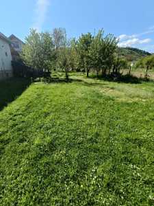 Terrain de vente, TECJ246353FLO-2