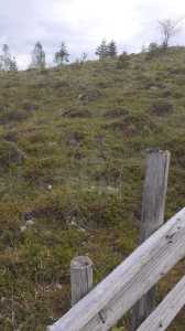 Terrain de vente, TECJ246415FLO-17