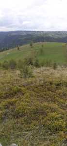 Terrain de vente, TECJ246415FLO-6