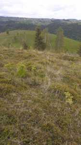 Terrain de vente, TECJ246415FLO-10