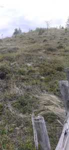 Terrain de vente, TECJ246415FLO-18