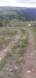 Terrain de vente, TECJ246415FLO-8