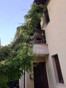 Appartement de louer 3 chambres, APCJ355490-2