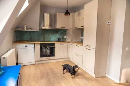 Appartement de louer 3 chambres, APCJ357006-2